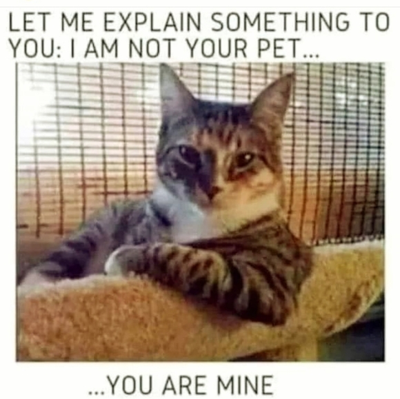 Keep an 👁 4 Sales! - Picture 2 of 8